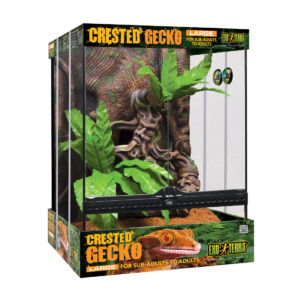 terrario gecko crestado grande exo terra